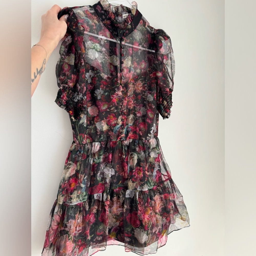 Beautiful free Alice and Olivia